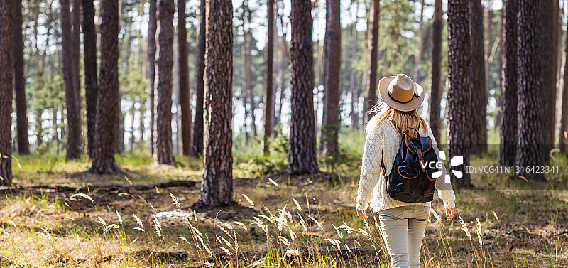 全景式的女性徒步旅行者独自在森林中行走图片素材