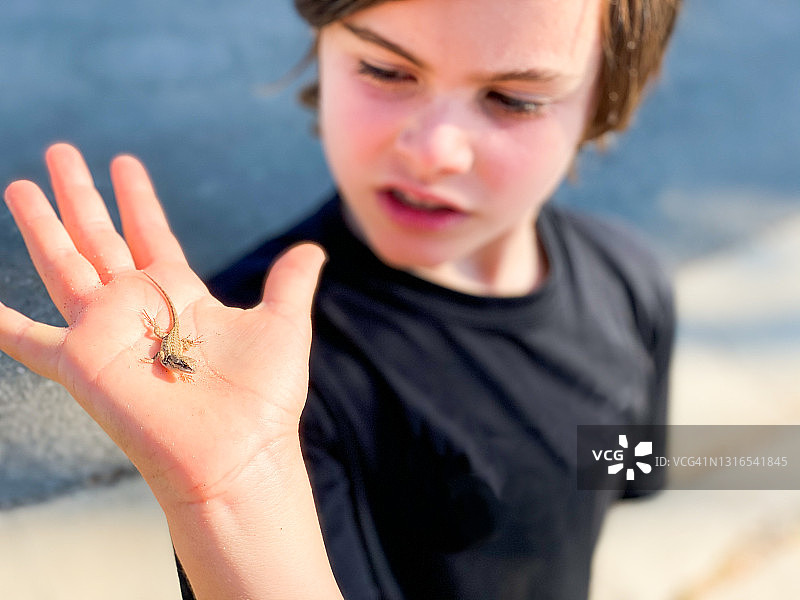 一个孩子抱着他抓到的蜥蜴在检查。图片素材