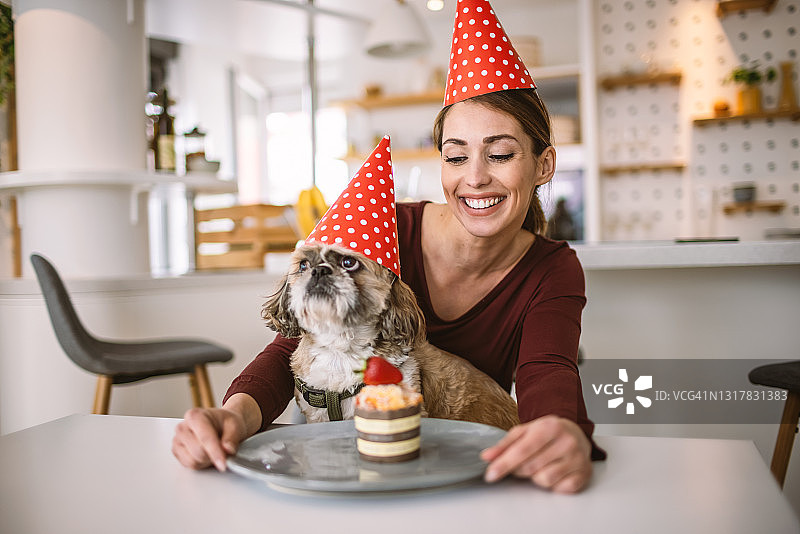 用蛋糕庆祝狗的生日图片素材