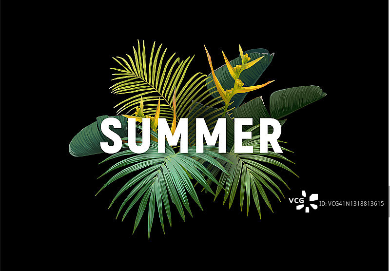 夏季热带矢量设计的旗帜或传单与异国情调的棕榈叶，花和印刷。图片素材