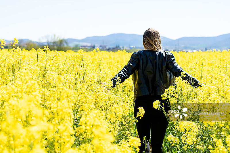 一个年轻的金发女人走在黄色的花。他背对着镜头，一边摸着花。这些花被称为油菜籽或菜籽油。图片素材