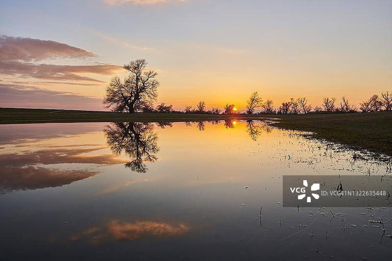 德国巴伐利亚州上普法尔茨的脆柳(脆弱柳)树在日落时在水中的倒影图片素材