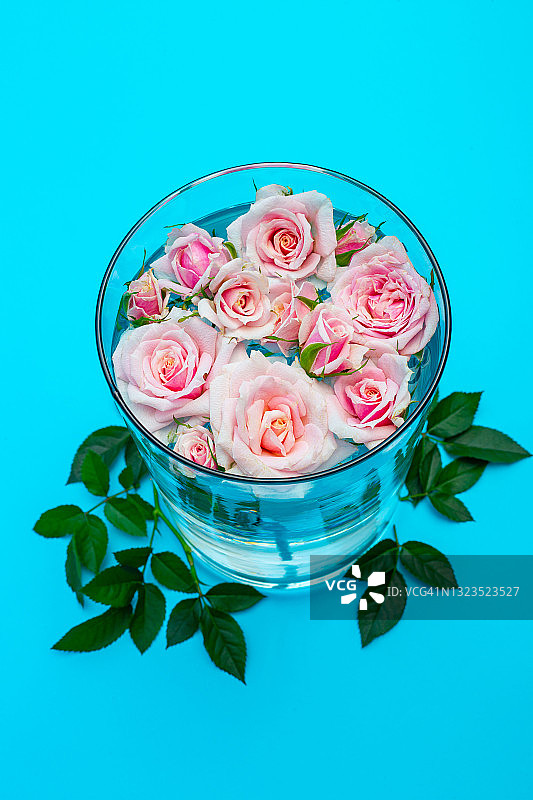 粉红玫瑰浮动图片素材