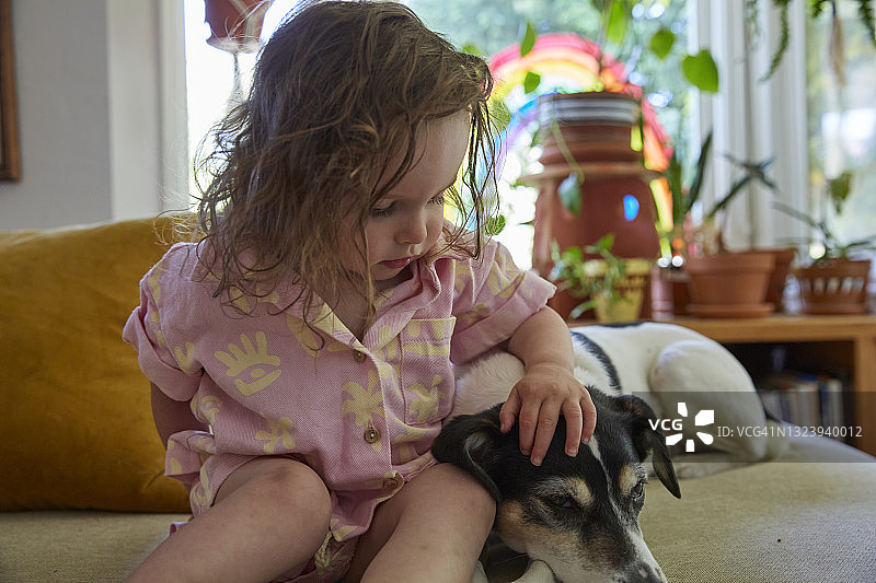 可爱的蹒跚学步的孩子拥抱和抚摸里面凌乱的沙发上的狗。图片素材