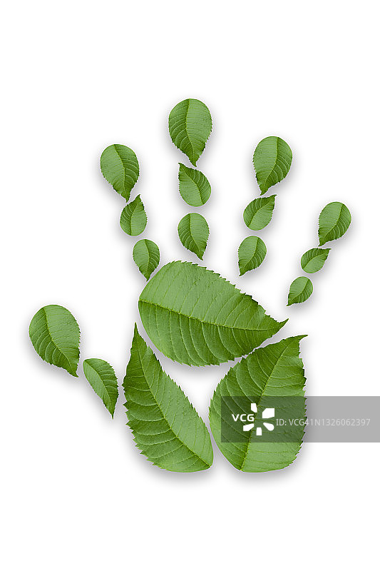绿叶手和脚的形状孤立在白色的背景。图片素材