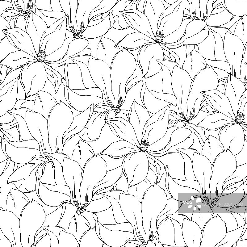 黑白花背景的玉兰和百合花，手绘矢量无缝图案。图片素材