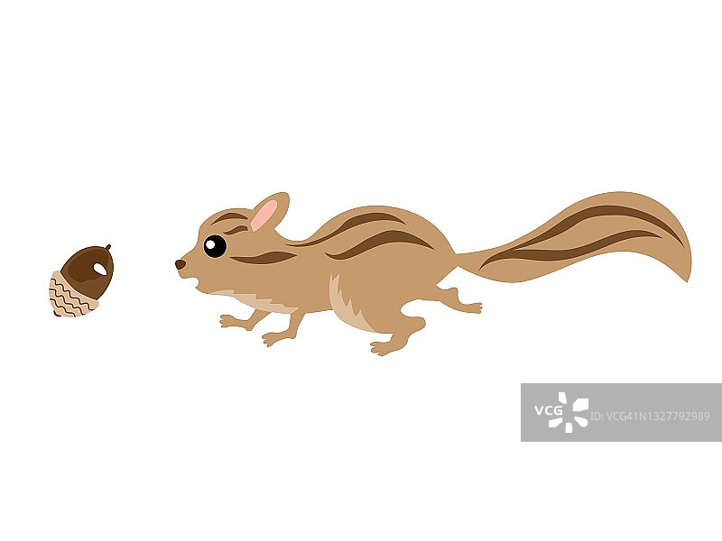 一只松鼠在追逐一颗橡子的插图图片素材