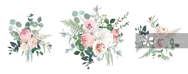 粉红花园玫瑰，毛茛，绣球花矢量设计花束图片素材