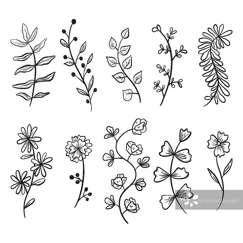 一组矢量涂鸦图标。收集设计元素，树枝和细枝与叶，花蕾和花瓣。图片素材