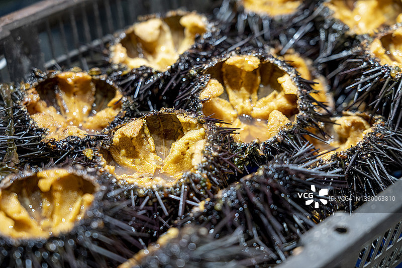 新鲜海鲜王蟹的特写图片素材