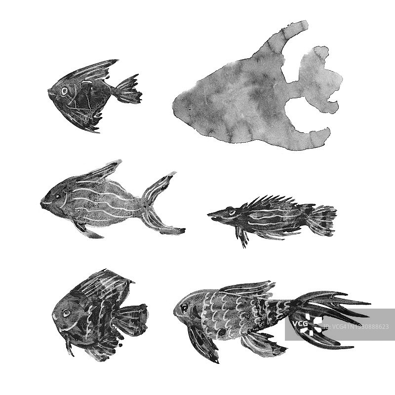 一套鱼画，纹理的黑白插图，艺术酱手画图片素材