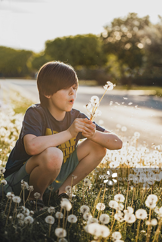 一个小男孩在一个阳光灿烂的夏日吹蒲公英花。图片素材
