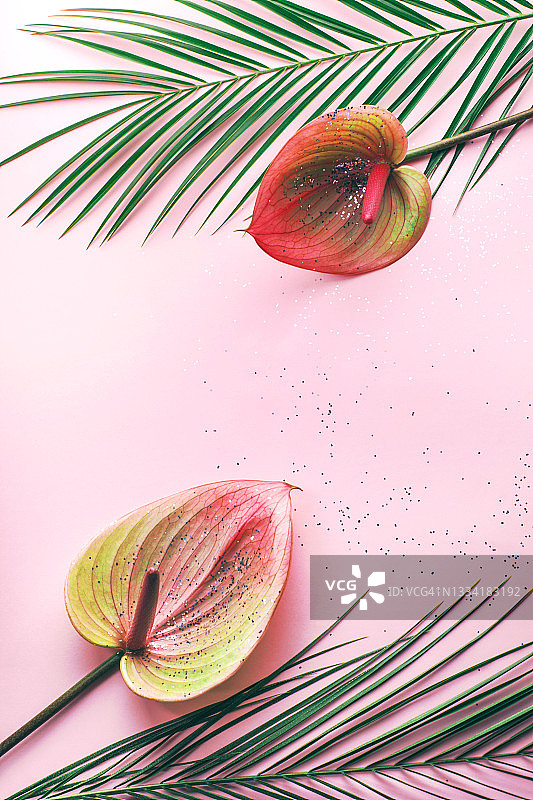 红掌花与棕榈叶在银色闪光粉粉的背景。热带节日的概念。为你的设计复制空间。平铺风格和特写图片素材
