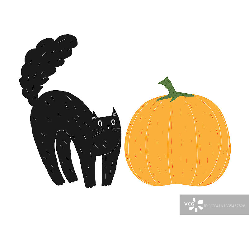 用万圣节南瓜画黑猫。可爱的动物被蔬菜吓坏了。一只长着毛茸茸尾巴的小猫拱起了背，直立起来。股票矢量插图上的白色背景。图片素材