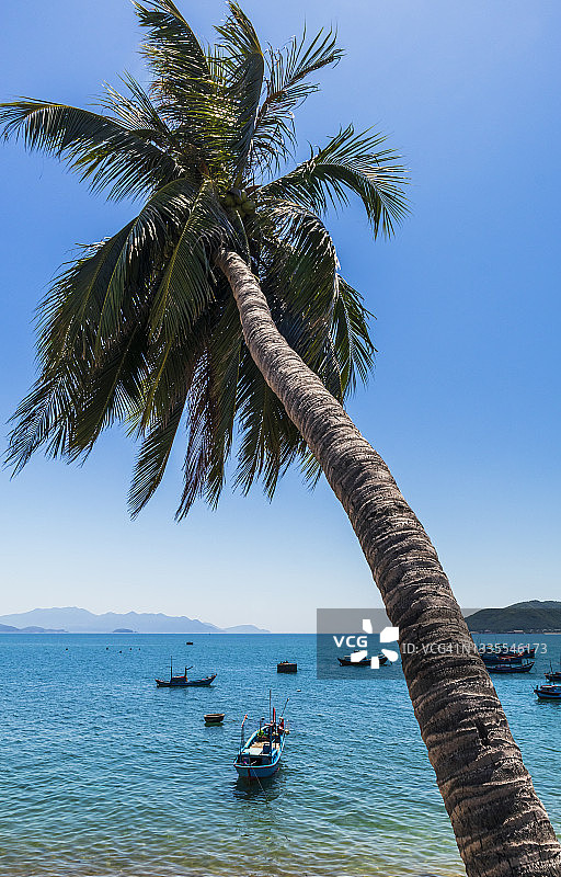 海边的椰子树，蔚蓝的天空，阳光和小船图片素材