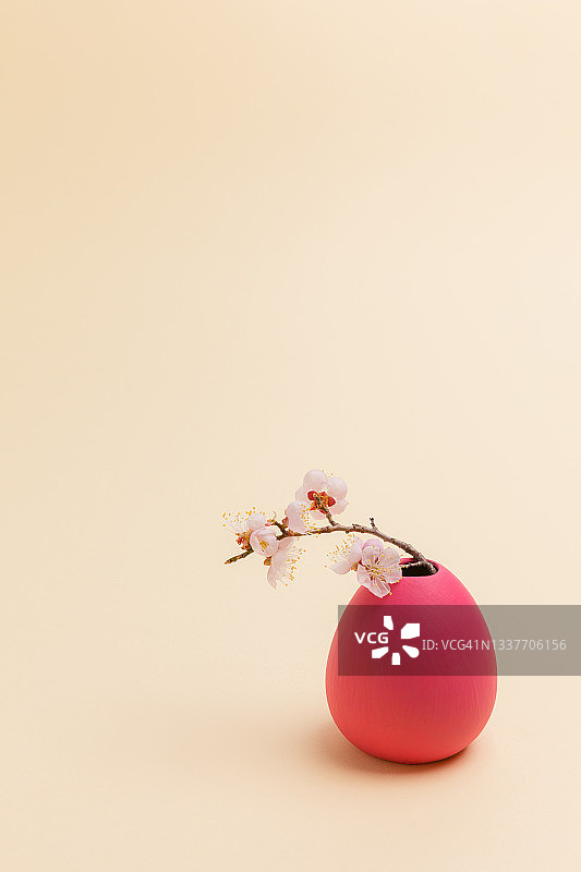 花瓶里的日本杏图片素材