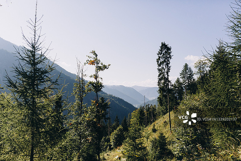 德国巴伐利亚阿尔卑斯山脉和树木生长的广角视图图片素材