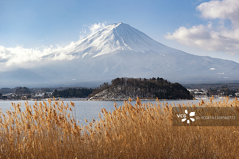 日本川口湖大石公园的富士山冬季风景图片素材