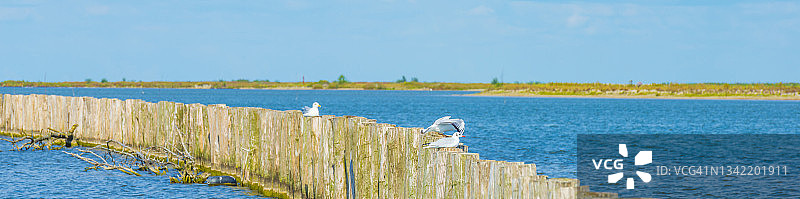 在夏日蔚蓝的天空下，在一个岛屿的湿地自然保护区的入口，帆船图片素材