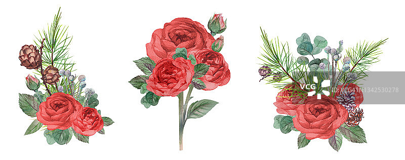 一套圣诞节冬季花束与红玫瑰在水彩孤立在白色背景图片素材
