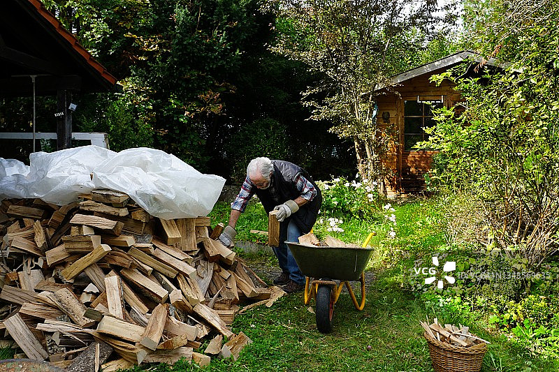 准备过冬。老人收集切碎的山毛榉木，用来做房子的壁炉和炉子。巴伐利亚,德国。图片素材