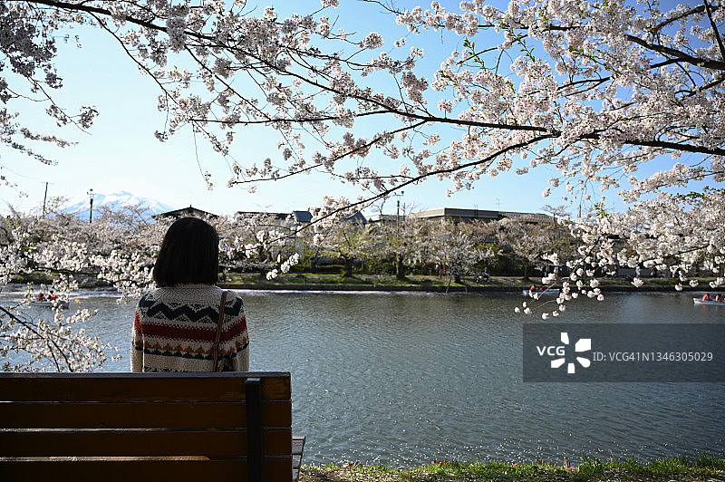年轻女子坐在樱花树下的长椅上。图片素材