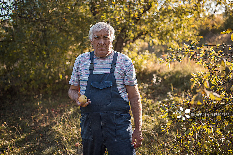 大自然中退休老人的肖像图片素材