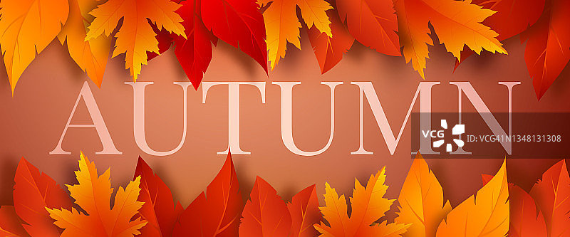 秋旗模板上有红、黄、橙的秋叶。图片素材