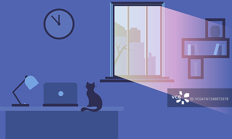 夜窗光线与一只猫坐在桌上拿着笔记本电脑图片素材