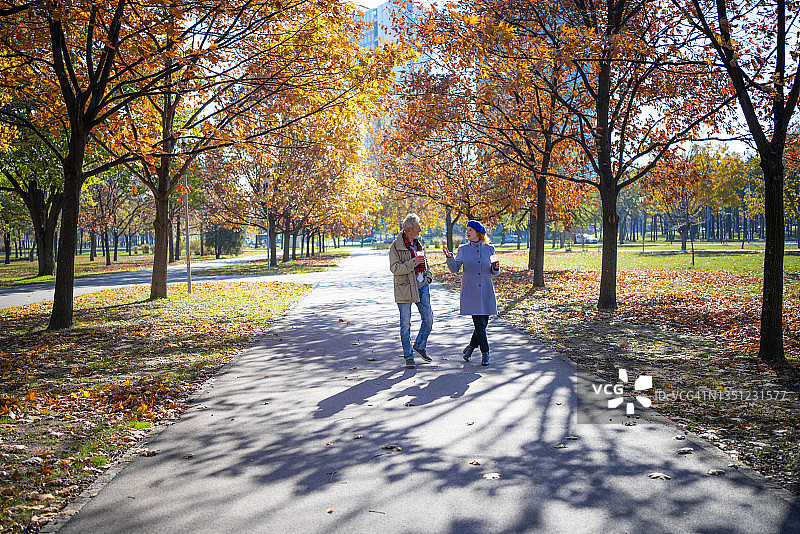 相爱的老夫妇在秋天一起散步图片素材