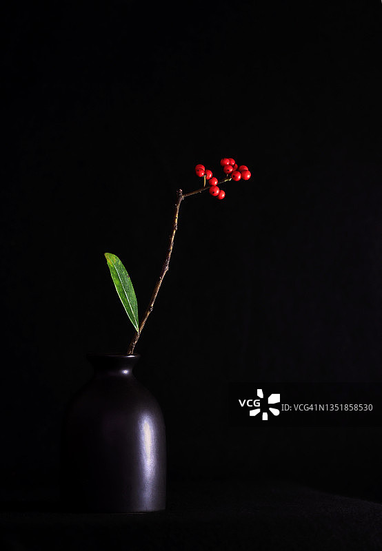 红色的达勋浆果在黑色背景下排列在花瓶中图片素材