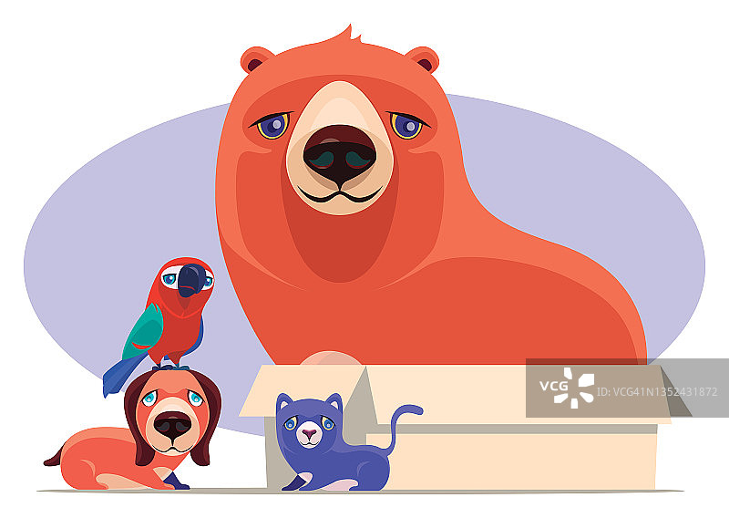 熊和宠物坐在纸箱里图片素材