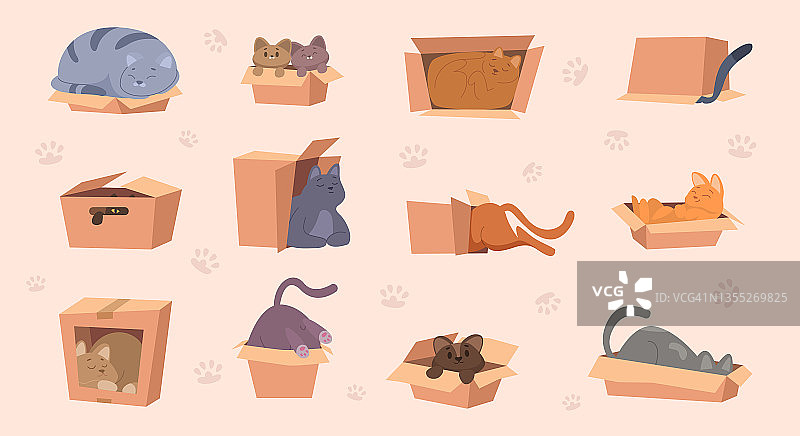猫在盒子里。国内有趣的动物玩纸板包装宠物游戏准确矢量卡通图片设置隔离图片素材