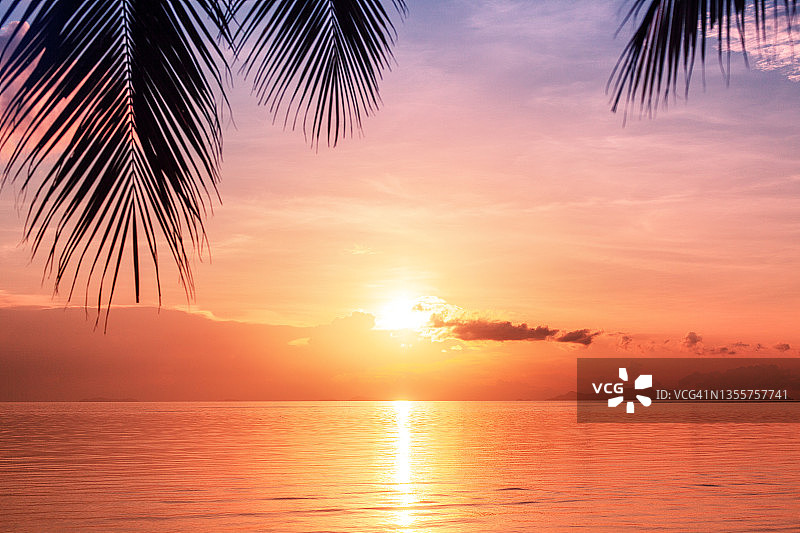 美丽的海上日落，早晨的海上日出，热带岛屿海滩，棕榈树叶剪影，紫色的天空，橙色的云，黄色的太阳在水面上辉映，黎明景观，夏日假期，度假，旅游图片素材