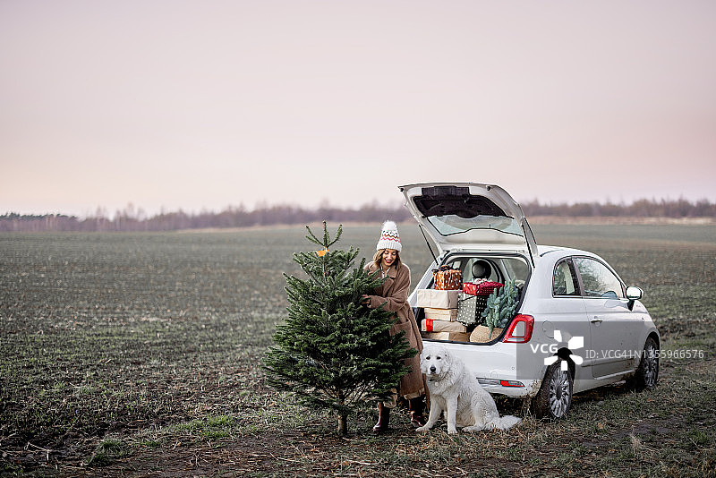 女人与圣诞树和狗在汽车附近的自然图片素材