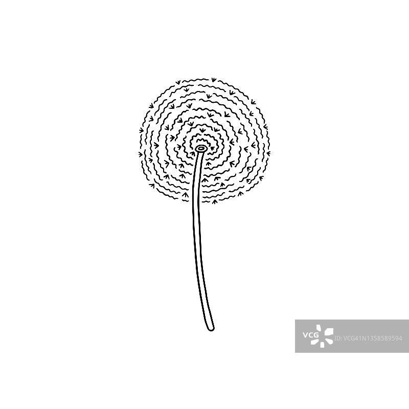 精致的蒲公英花在手画轮廓风格，矢量插图孤立的白色背景。图片素材