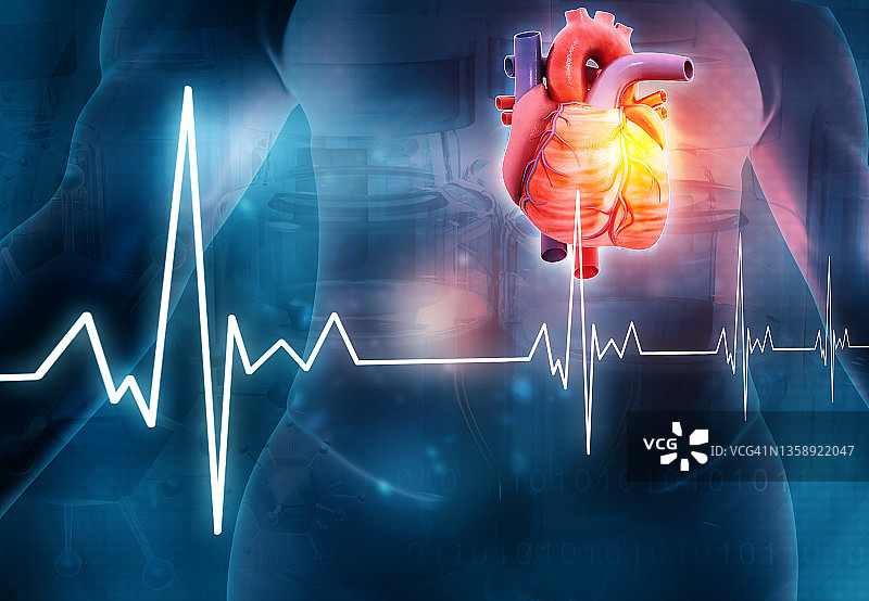 用心电图解剖健康人心脏图片素材