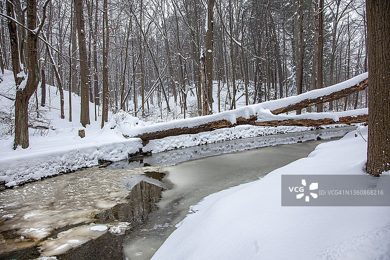 小溪在冬天图片素材