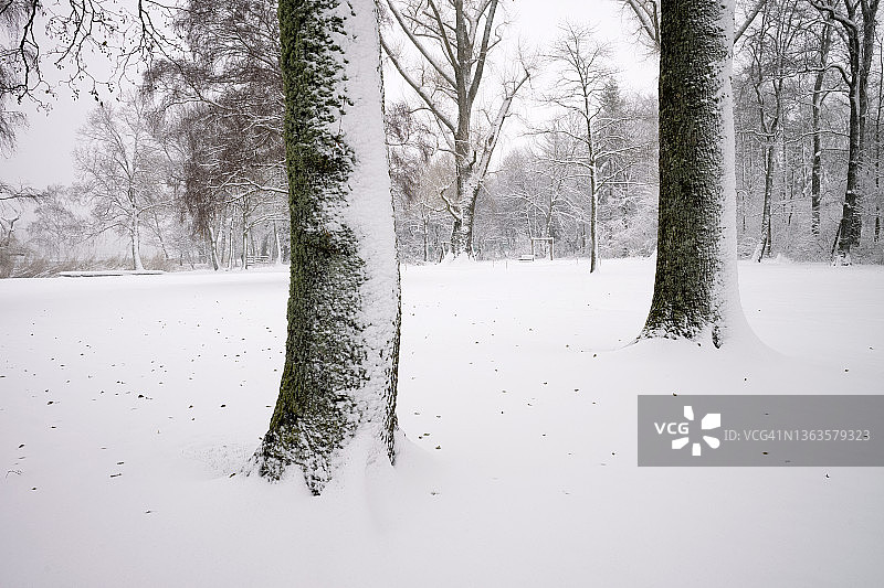 冬天，贝尔湖边下雪的天气图片素材