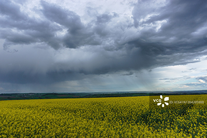 德国艾菲尔，雨和风暴云笼罩着长满黄色油菜的农田图片素材