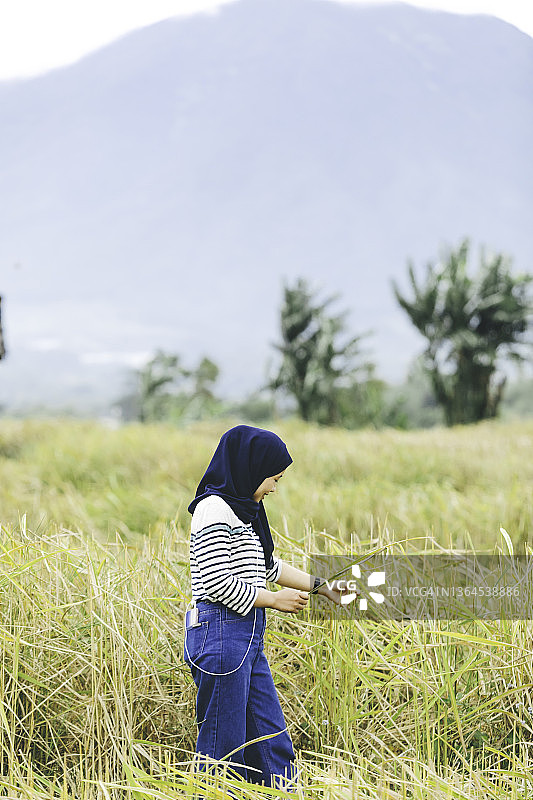 亚洲穆斯林妇女在稻田里图片素材