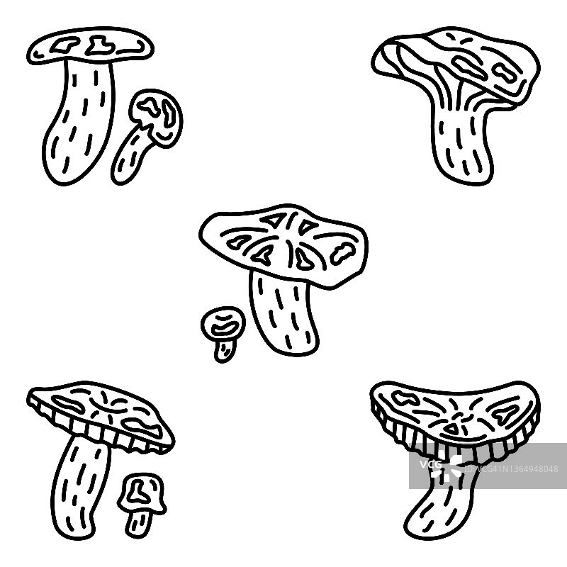 红菇，一种可食用的森林蘑菇。一组矢量图标，轮廓，孤立图片素材