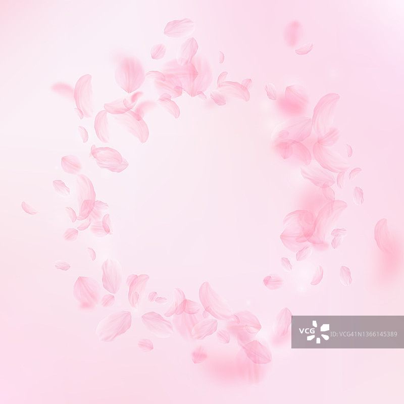 樱花花瓣飘落。浪漫的粉色花朵装饰。飞舞的花瓣在粉红色的方形背景上。爱情,浪漫的概念。神奇的婚礼邀请图片素材