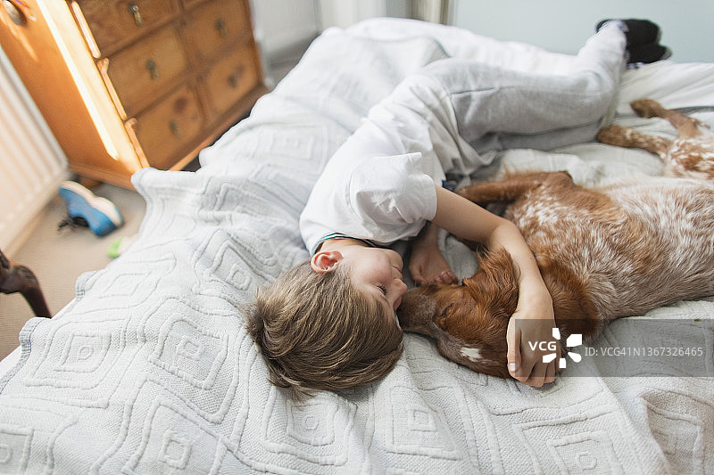 可爱的男孩抱着狗在床上图片素材