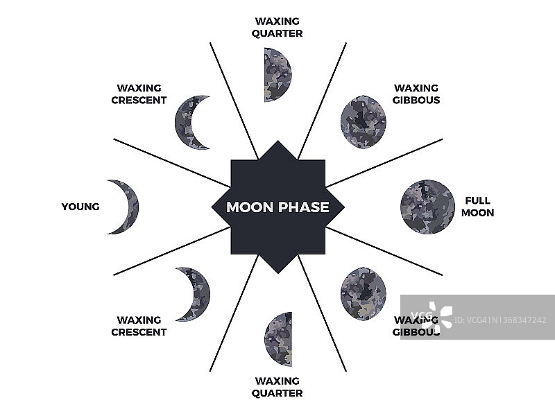 月球阶段。月球表面的纹理。月相贯穿整个周期。新月型的设计。天文观测地球卫星一个月。矢量图图片素材