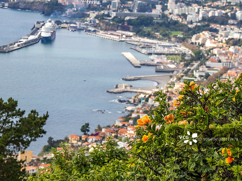 Funchal的全景图片素材