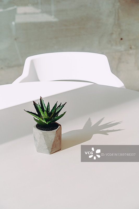 白色的桌子上，一个混凝土花盆里的仙人掌。图片素材