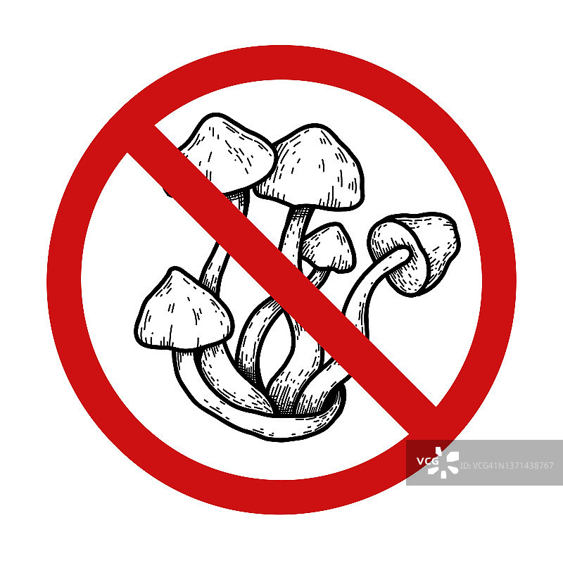 带假蘑菇的矢量禁止标志。不要采有毒的蘑菇。中毒的危险。禁止标志上的真菌素描图片素材
