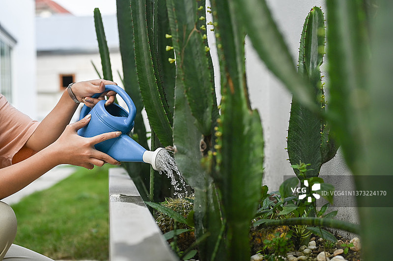 在花园里照料植物和浇水的女人。家庭园艺的概念。图片素材