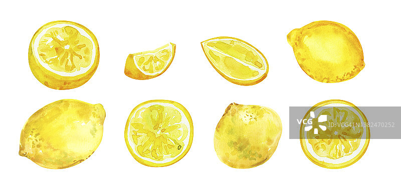 水彩手绘柑橘柠檬水果。图片素材